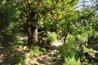 Tag 06 Monte Capanne IT-WAELB (5)