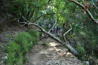 Tag 06 Monte Capanne IT-WAELB (10)