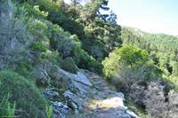 Tag 06 Monte Capanne IT-WAELB (16)