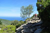 Tag 06 Monte Capanne IT-WAELB (20)