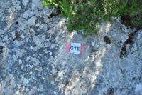 Tag 06 Monte Capanne IT-WAELB (21)