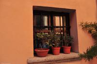 Tag 06 Monte Capanne IT-WAELB (62)