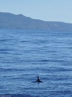 Tag 07 Pianosa IT-WAELB (8)