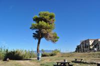 Tag 07 Pianosa IT-WAELB (17)