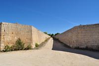 Tag 07 Pianosa IT-WAELB (26)