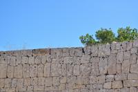 Tag 07 Pianosa IT-WAELB (27)