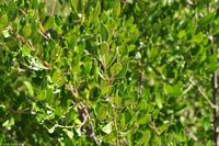 Tag 07 Pianosa IT-WAELB (28)