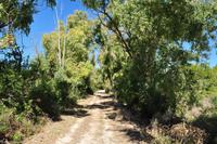 Tag 07 Pianosa IT-WAELB (29)