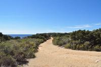 Tag 07 Pianosa IT-WAELB (40)