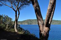 Tag 08 IT-WAELB (10)