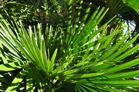 Tag 08 IT-WAELB (27)