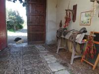 Agriturismo Baglio Fontasalsa in Bisciano