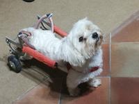 Case die Latomie-  Morhy