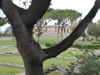 Tag 1. Paestum