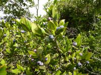 Tag 2. Flora unterwegs