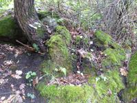 Tag 2: Gesunde Natur 