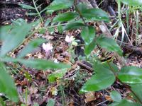 Tag 2: Am Wegesrand.