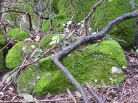 Tag 2: Im Naturpark.