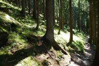 Südtirol - Ultner Höfeweg