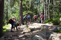 Über den Dächern von Meran