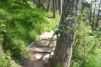 Über den Dächern von Meran