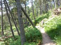 Über den Dächern von Meran