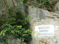 Merab - Tappeinerweg