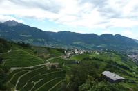 Blick vom Schloss Tirol