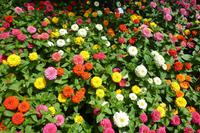 Schloss Traummannsdorff