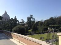 Blick in die vatikanischen Gärten