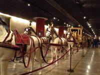 Kutschen und Pferde des Papstes