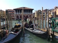 die Gondoliere
