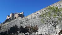 173 Bastia (Frankreich - Korsika) - Ausflug nach Corte