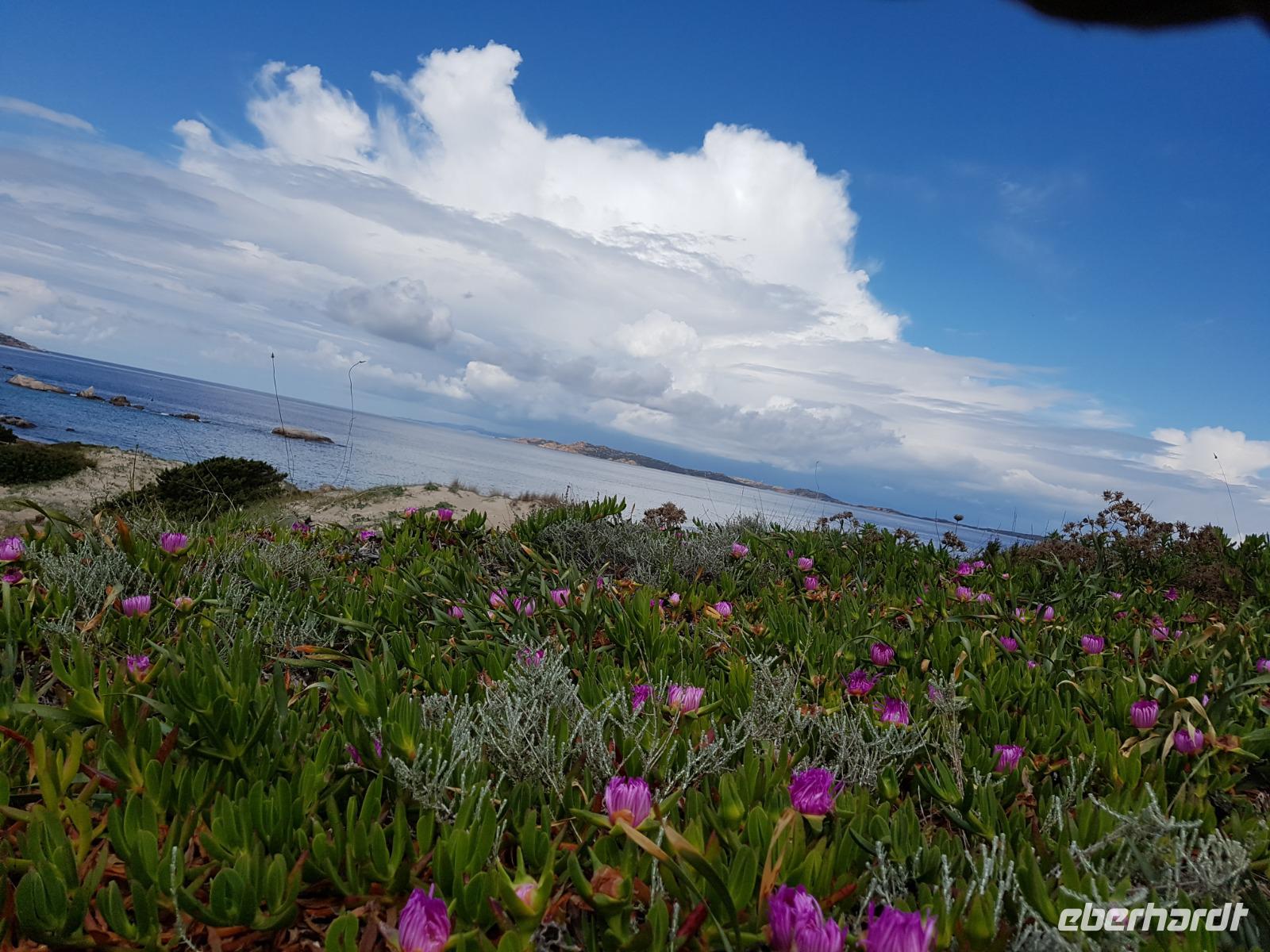 703_La Maddalena Archipel