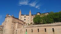 Palazzo Duccale, Urbino