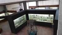 Locri Museum Ausgrabungsstelle 20190421 105330