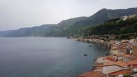 Scilla 20190422 151247