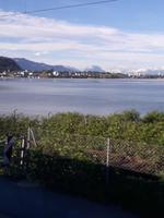 Blick auf Bregenz am Bodensee