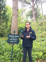 IM GARTEN ANGEKOMMEN