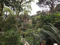 BOTANISCHER GARTEN LA MORTELLA