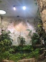 BOTANISCHER GARTEN LA MORTELLA