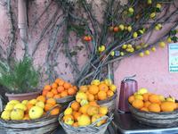 IMMER WIEDER FRÜCHTE