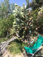 GERN WÄREN WIR NOCH GEBLIEBEN