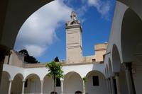 Karteuserkloster auf Capri