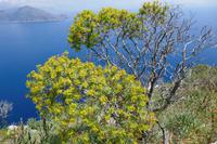 Blick aufs Meer von Villa Jovis