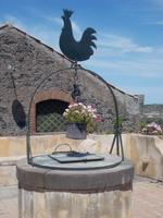 DSCN2721  Weingut  Le Sciarelle