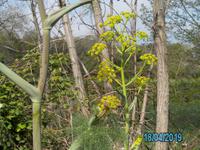 Wanderung zur Kornmühle