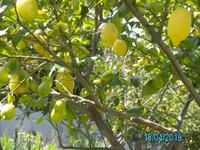 Wanderung zur Kornmühle