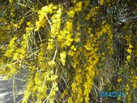 Wanderung nach Tropea