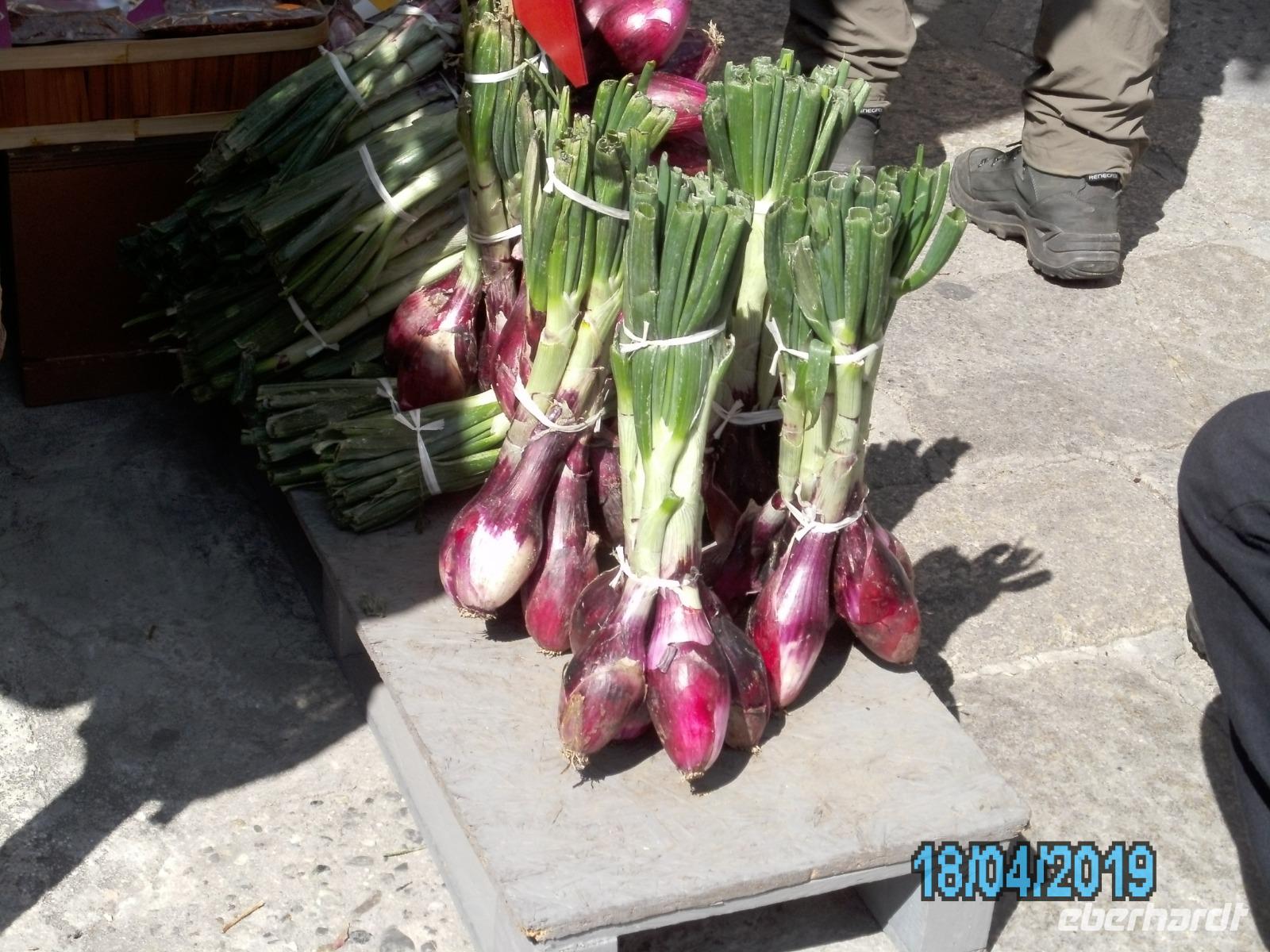 Rote Zwiebeln - Spezialität von Tropea
